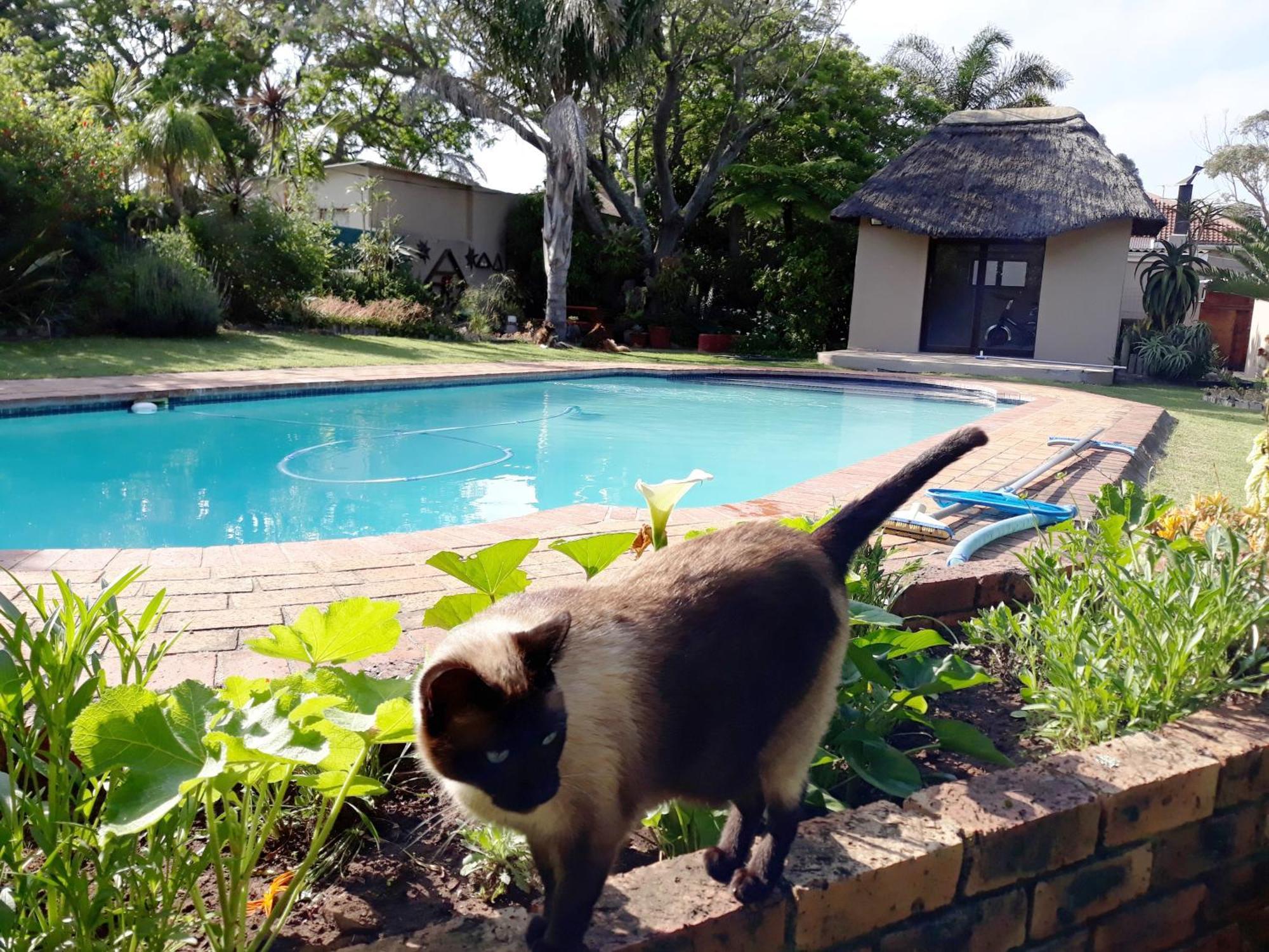 Field'S Rest Bed and Breakfast Port Elizabeth Exteriör bild